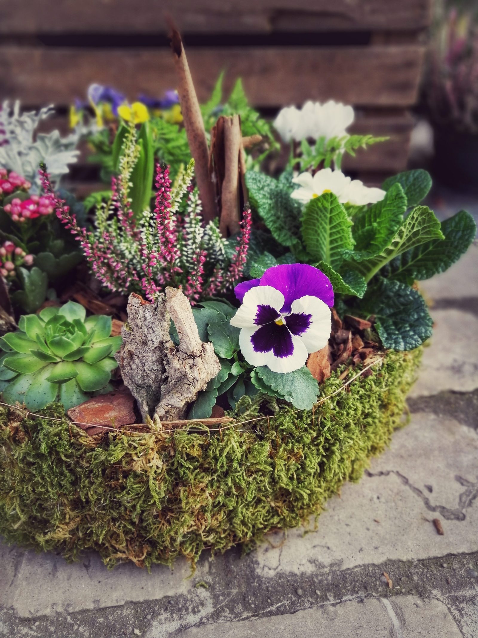Création florale Ginflor